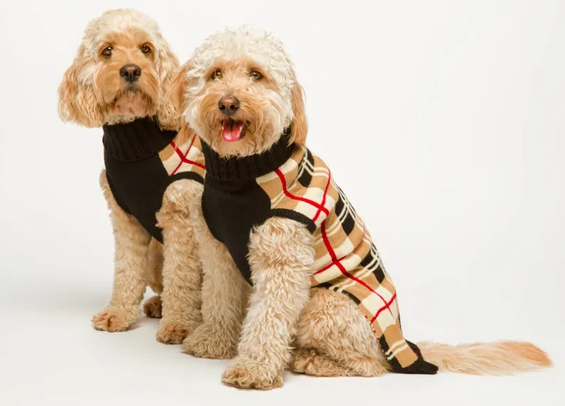 Fabdog Camel Plaid Sweater